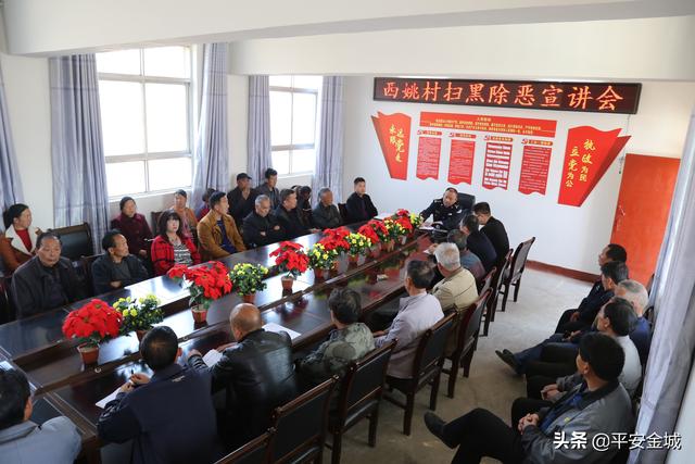 潼关公安：扫黑除恶宣讲进村组