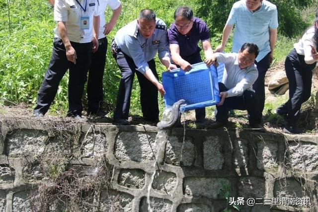 潼关县公安局成功救助两只大鲵