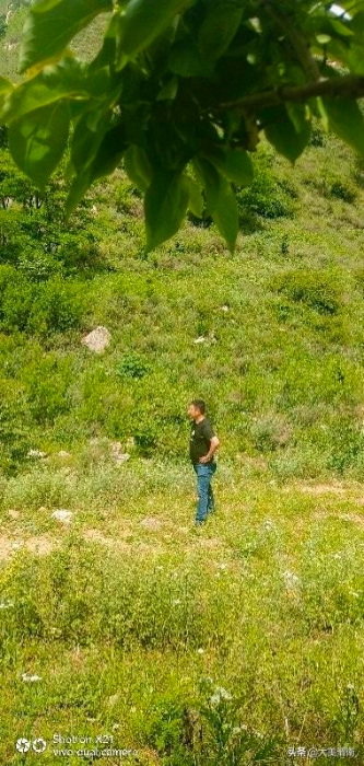 潼关县矿山生产综合执法局以实际行动加强秦岭生态保护工作