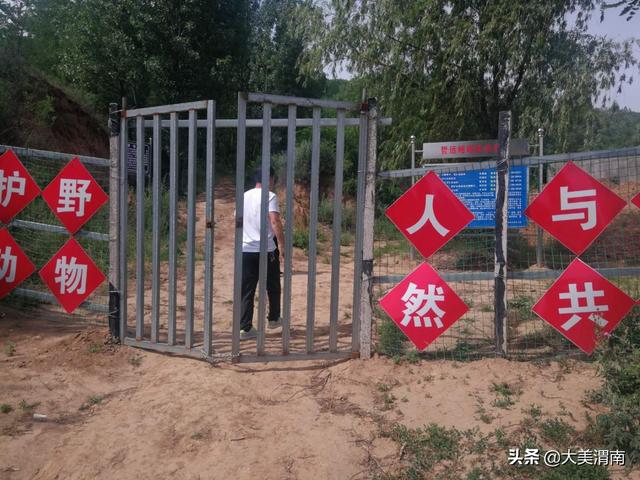 潼关县矿山生产综合执法局以实际行动加强秦岭生态保护工作