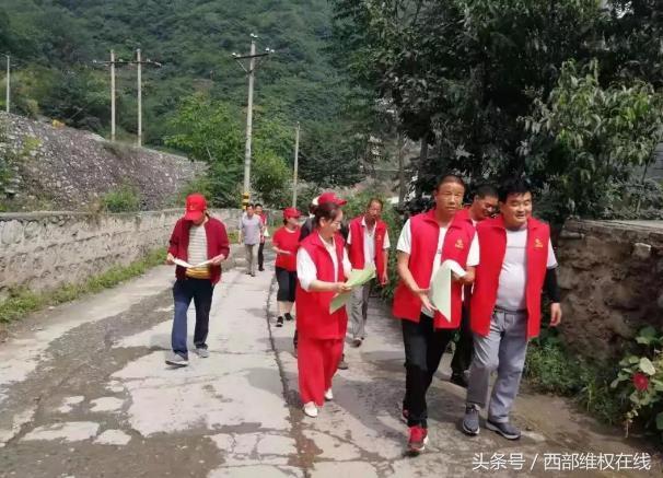 潼关县桐峪镇桐峪社区党员“保护秦岭环境 党员在行动”