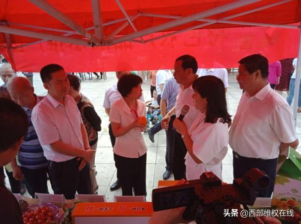 潼关郭芳平：产业规划写在田间地头