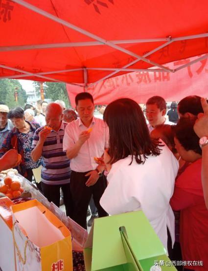 潼关郭芳平：产业规划写在田间地头