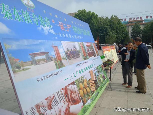 潼关郭芳平：产业规划写在田间地头