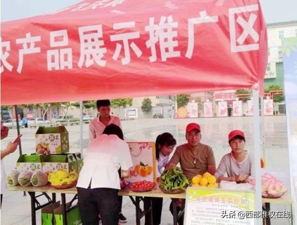 潼关郭芳平：产业规划写在田间地头