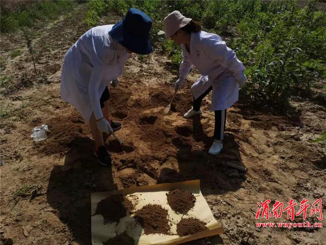 潼关县首次开展农村环境卫生项目监测