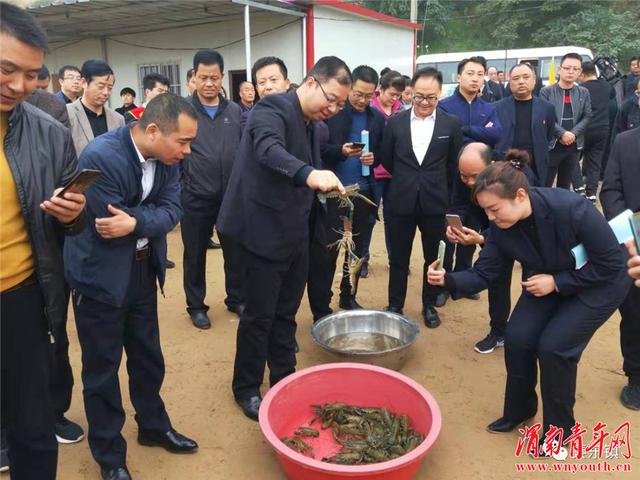 潼关县委书记樊正学、县长于娟侠带队对秦东镇脱贫攻坚工作进行观摩