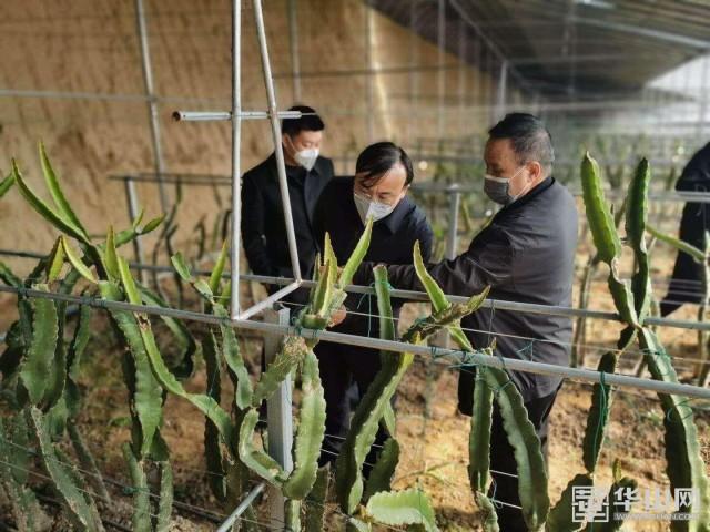 陕西潼关农信社打出金融组合拳 强力支持复工复产和春耕备耕