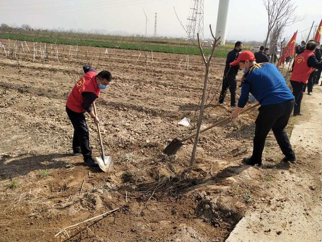 潼关县中医医院植树护园在行动