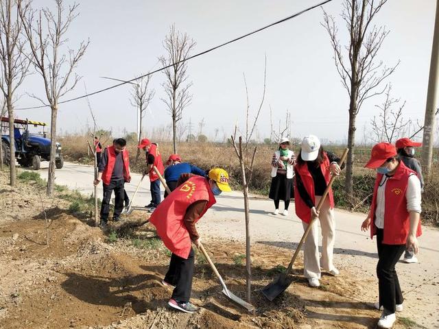 潼关县中医医院植树护园在行动