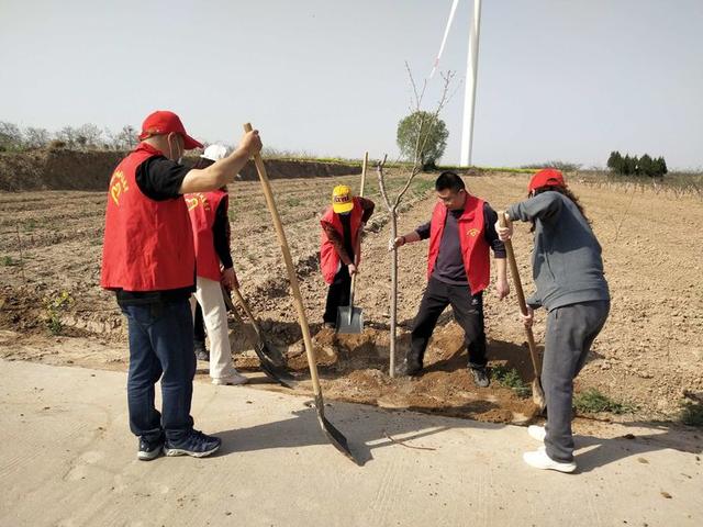 潼关县中医医院植树护园在行动