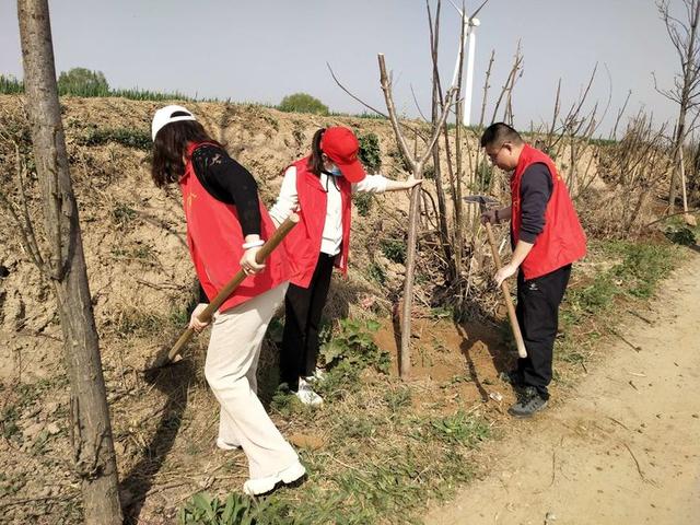 潼关县中医医院植树护园在行动