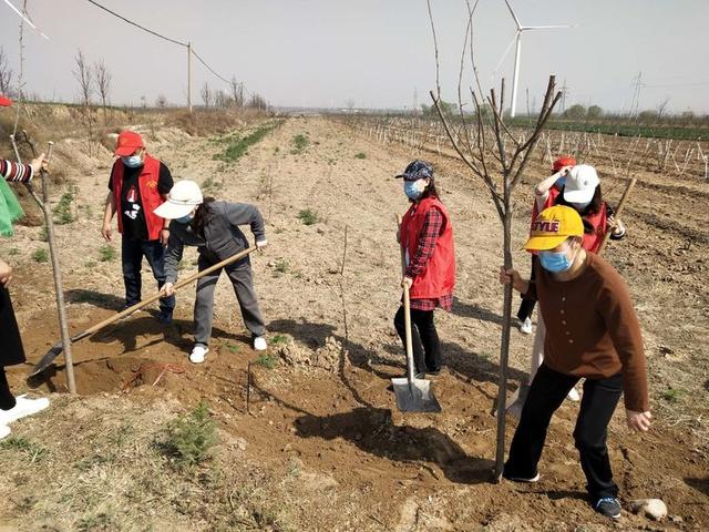 潼关县中医医院植树护园在行动