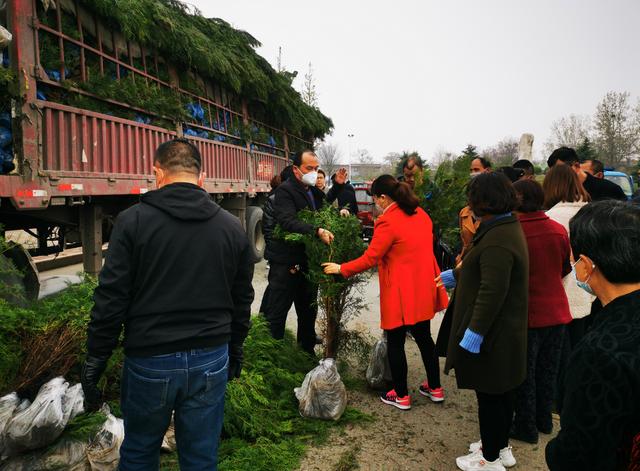 潼关组织开展“植树缅怀·文明祭祖”活动