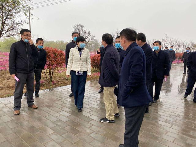 河南省市领导考察潼关县古城遗址保护开放建设情况