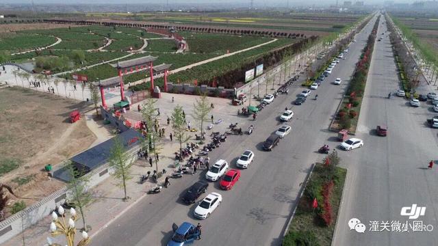 清明小长假潼关旅游市场平稳有序