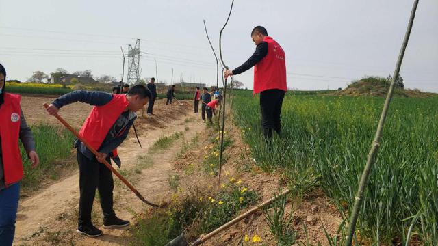 青山添绿意潼关县文化和旅游局开展植树绿化活动(图)