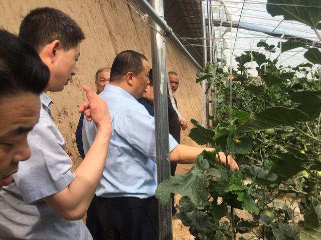 潼关县政府办党总支开展“党员践初心 志愿我先行”主题教育活动