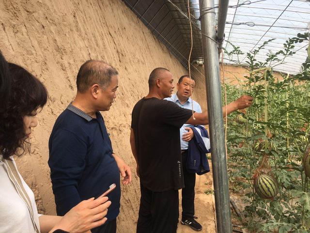 潼关县政府办党总支开展“党员践初心 志愿我先行”主题教育活动