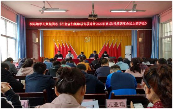 桐峪镇学习贯彻黄超同志在全省扫黑除恶专项斗争视频调度会讲话精神