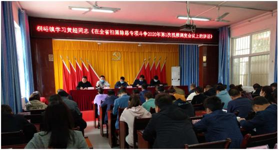 桐峪镇学习贯彻黄超同志在全省扫黑除恶专项斗争视频调度会讲话精神